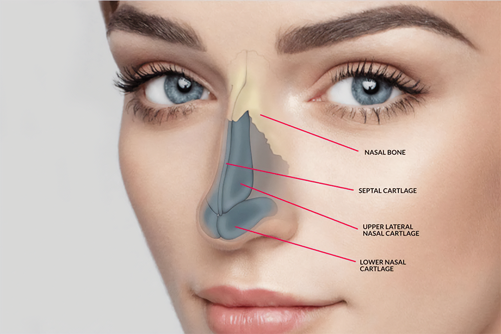 What Is Rhinoplasty Surgery?